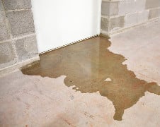 Basement Leak Door SM