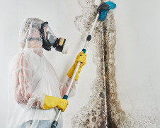 Mold Removal Hazmat SM