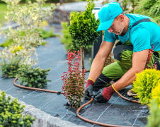 Landscaping Water SM