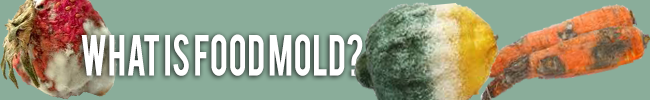 What is food mold