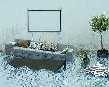 Flooded Living Room SM