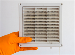 Dusty Duct