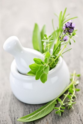 herbs