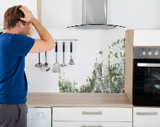 Mold in Kitchen SM