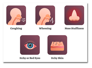 Mold Symptoms