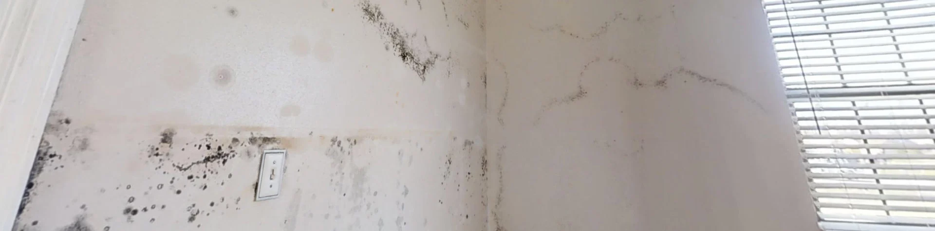 Mold growth on a bedroom wall