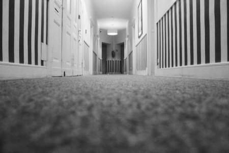 How Quickly Does Mold Spread on Carpet, and How Can You Stop It?