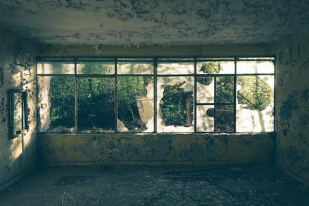 Is It Possible to Get Rid of Mold Permanently? Here’s What You Need to Know