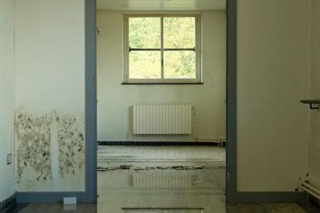 The Hidden Dangers of Water Damage: How It Weakens Your Home’s Structure