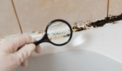 Is it Mold or Mildew?... Or is it Just Dirty?