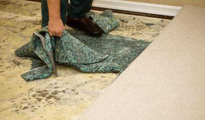 Why Not All Water Damage Is the Same