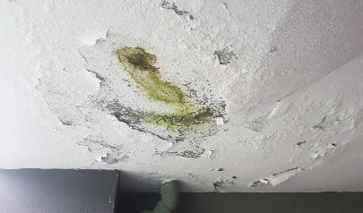 Don’t Let Water Damage Lead to Mold