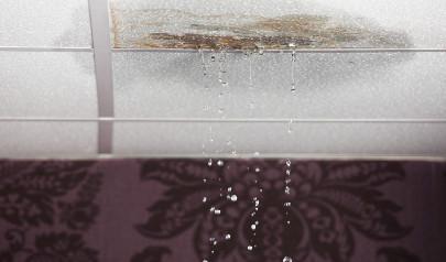 Preventing Mold Growth in Your Office Building