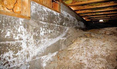 Preventing Winter Mold Growth