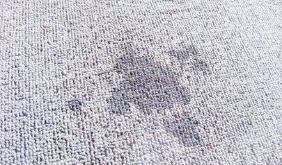Can Wet Carpet Be Saved?