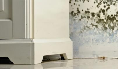 What is the Water Damage Cleanup Process After a Tornado?