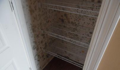 What Do I Do About Mold in My Closet?