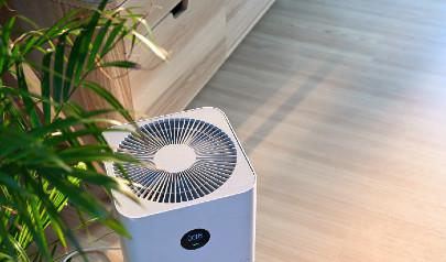 What is the Best Air Filter for My Home?