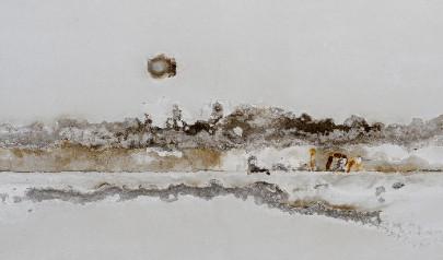 How Can Mold Affect Employee Productivity?