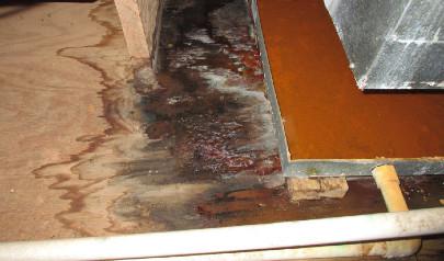 How to Deal with Hidden Water Damage in My Attic