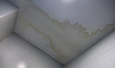 DOs and DON'Ts for Mold Removal in Your Warehouse