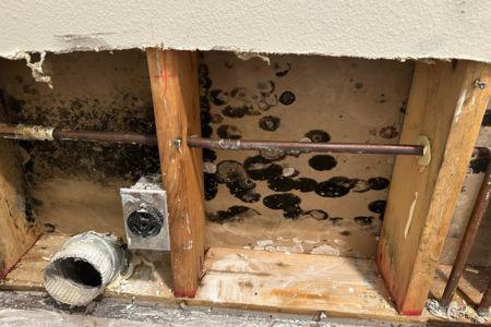 mold on an open wall