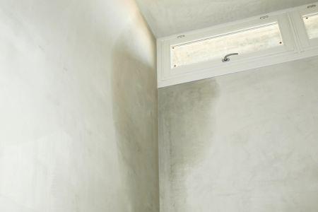 moisture on a wall