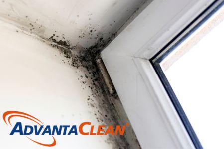 AC LS - Large (13).jpg