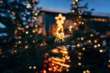 lights on a tree with a star
