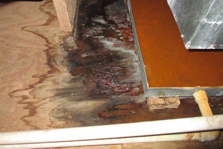mold and water on the floor with white pipes