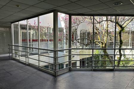 A hallway overlooking an outside tree