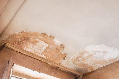 mold on walling