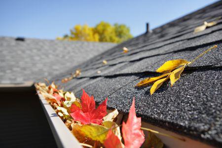 fall leaves on the corner of a roof