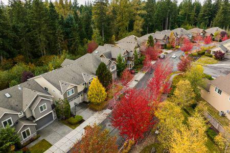 Sky view of a neighborhood with fall trees
