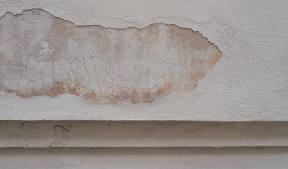 Mold Remediation Resources for Cartersville Rental Properties