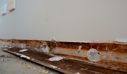 Musty and Moldy Odors Ruining Your Holiday Memories?