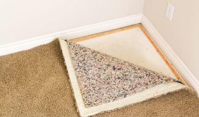 Mold Removal Strategies That Optimize Residential Containment