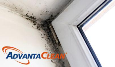 The Process of Mold Removal with AdvantaClean