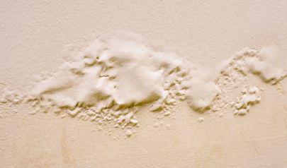 What Berea Homeowners Should Expect When Water Damage Leads to Insurance Claims