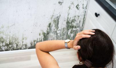 Mold Remediation Steps Every Acworth Homeowner Should Know