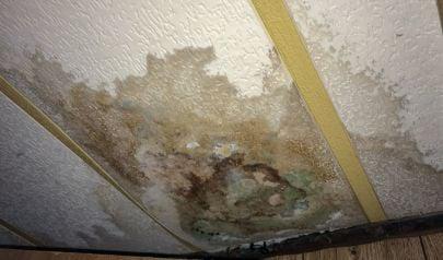 Why Home Vacuums Fail at Water Extraction in Your Alpharetta Property