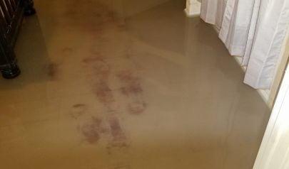 What Bellevue Homeowners Should Know About Mold Before It Becomes a Major Issue