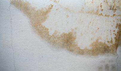 Keeping Fort Lauderdale Properties From Growing Nasty Mold