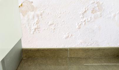 We Handle Water Damage in Lakewood, Ohio Homes with Advanced Dehumidification