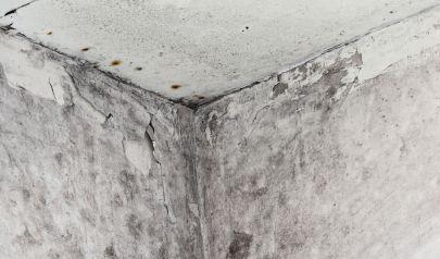 AdvantaClean is Here to Help Tackle Hidden Mold Issues