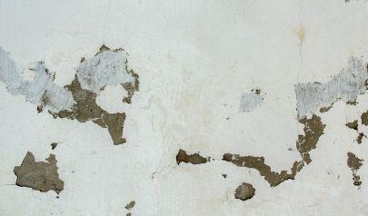 Mold Removal Lakewood: Clean Air Is a Focus for Families