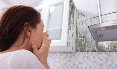 What to Expect During a Professional Mold Inspection
