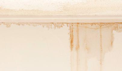Effective Water Extraction for Plush Carpets in Roswell Homes