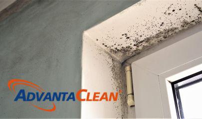 AdvantaClean’s Professional Mold Removal