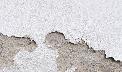Mold Remediation in Kirkland with Antimicrobials That Work